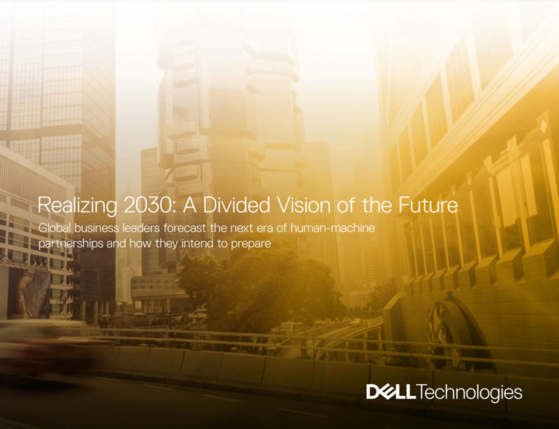 Realizing 2030: A Divided Vision of the Future
