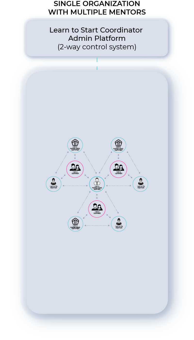 Diagram showing single organization with multiple mentors