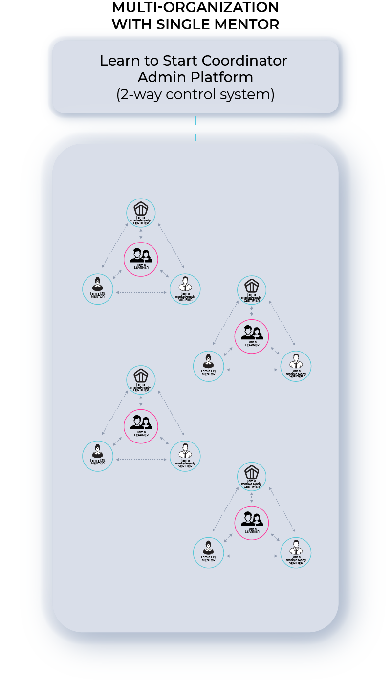 Diagram showing a multi-school organization with a single mentors