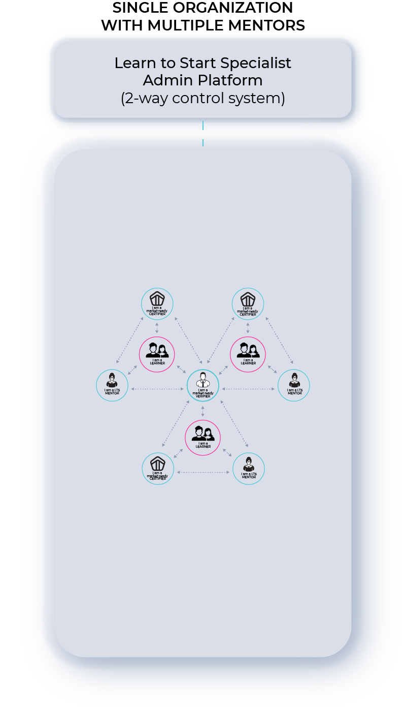 Diagram showing single organization with multiple mentors